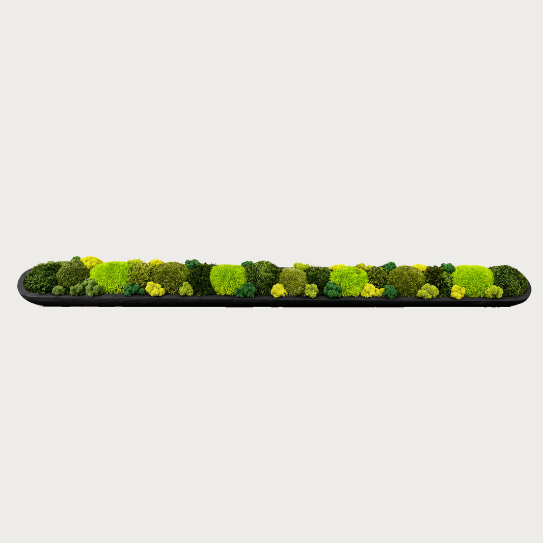 Vignette Vault Moss Centrepiece
